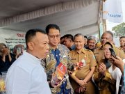 Berkah Sumur Dalam & RJIT, Luas Lahan Sawah Ponorogo Bertambah 350 Hektar