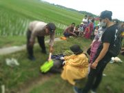 Diduga Epilepsi Kambuh, Petani di Ponorogo Ditemukan Meninggal Dunia di Sawah