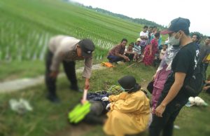 Diduga Epilepsi Kambuh, Petani di Ponorogo Ditemukan Meninggal Dunia di Sawah