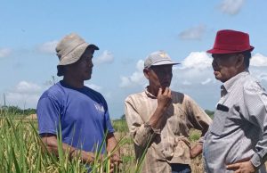 Mantan Ketua KPK Agus Rahardjo Bacalon DPD RI 2024, Ngobrol bersama Petani di Desa Pomahan, Pulung