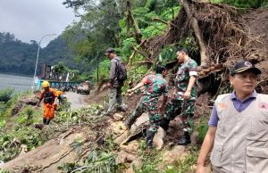 Tanah Longsor & Pohon Tumbang Halangi Jalan Lingkar Ngebel