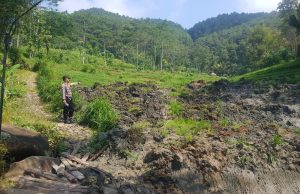 Mengerikan, Detik-Detik Longsor Melanda Sawah di Dukuh Jabang, Tumpak Pelem