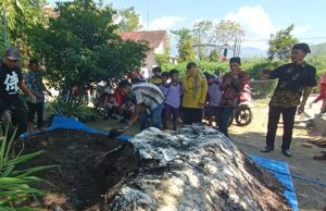 Dongkrak Ekonomi Warga Bringinan, Barno Kembangkan Budidaya Bunga Telang