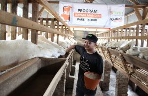 JELANG QURBAN, BMH JATIM SIAPKAN HEWAN BERKUALITAS & JAMINAN JANTAN