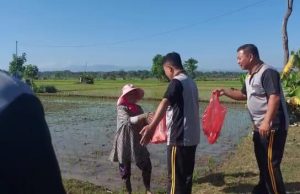 Polsek Sukorejo Tebar Kebaikan, Bagikan Nasi Bagi Petani di Sawah