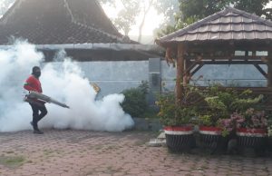 8 Warga Desa Gelanglor Terkena DB, Dinkes Lakukan Fogging