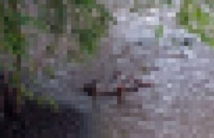 Mayat Tanpa Busana Mengapung di Sungai Gombang