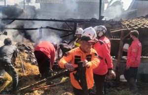 Dapur & Kandang Sapi di Ronosentanan Ludes Terbakar