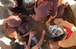 Mahasiswa Ajarkan Gaya Hidup Sehat dengan Menanam Sayur