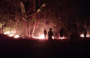 Padamkan Kebakaran 4 Hektar Hutan, Petugas Pakai Alat Seadanya