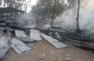 Kandang Terbakar, 14 Ribu Ayam Terpanggang