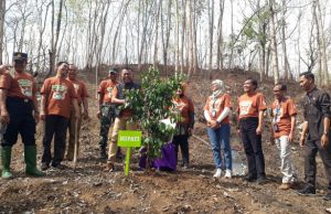Ratusan Sumber Air Mengering, Bupati Sugiri Pimpin Gerakan Menanam Pohon di Gunung Thekil