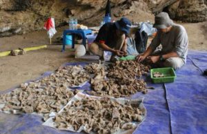 ‘Sampung Bone Industries’ : Jejak Manusia Purba di Gua Lawa, Ponorogo