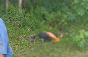 Heboh, Pencari Rumput di Blembem Meninggal Dunia dalam Posisi Sujud