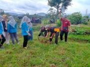 Musim Hujan Saatnya Tanam Bibit Pohon Hijaukan Lingkungan