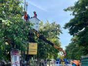 Jaga Keandalan Pasokan Listrik, PLN UP3 Ponorogo Lakukan Rabas Pohon