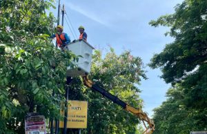 Jaga Keandalan Pasokan Listrik, PLN UP3 Ponorogo Lakukan Rabas Pohon