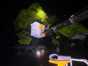 Pasca Cuaca Ekstrem, PLN Gerak Cepat Tangani Tiang Roboh Di Pacitan