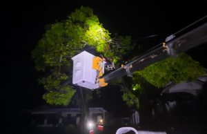 Pasca Cuaca Ekstrem, PLN Gerak Cepat Tangani Tiang Roboh Di Pacitan