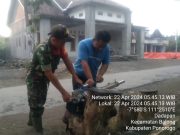 Cegah DBD, Galakkan Pengasapan Fogging