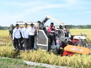 Panen Raya Padi Wujudkan Swasembada Pangan Ponorogo