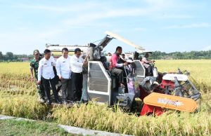 Panen Raya Padi Wujudkan Swasembada Pangan Ponorogo