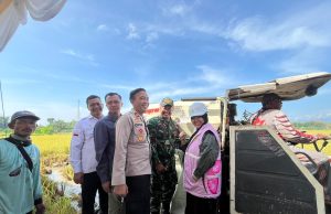 Tingkatkan Produktivitas Pertanian di Ponorogo, Srikandi PLN Dukung Gerakan Panen Raya Padi