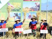 Berkat Bantuan Sumur Dalam, Petani Bisa Panen 2 Hingga 4 Kali