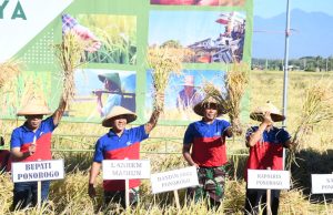 Berkat Bantuan Sumur Dalam, Petani Bisa Panen 2 Hingga 4 Kali