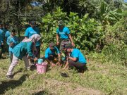 Hari Lingkungan Hidup Sedunia, Tanam Ratusan Bibit Pohon