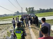 Gagal Nikah Nekat Tenggak Pestisida, Pemuda Asal Gelanglor Tewas di Persawahan