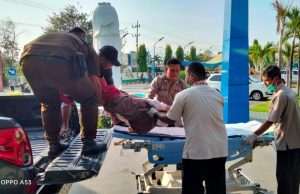 Laka di Perempatan Sambit, Ponorogo: Ibu Patah Kaki, Dua Pelajar Luka-luka