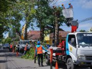 Tingkatkan Keandalan Pasokan Listrik, PLN Gelar Pemeliharaan Jaringan Antar Unit MAHABARATA