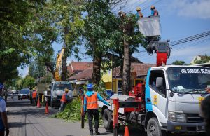 Tingkatkan Keandalan Pasokan Listrik, PLN Gelar Pemeliharaan Jaringan Antar Unit MAHABARATA