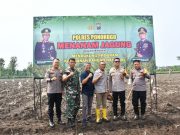 Percepatan Swasembada Pangan, Polres Bersama Kodim Tanam Benih Jagung Benih Ikan Lele