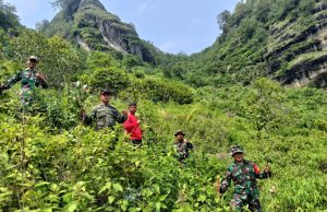 Ribuan Bibit Pohon Hijaukan Lereng Gunung Bayangkaki, Ponorogo