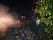 Kandang Terbakar, 5.000 Ayam Mati Rugi Rp 350 Juta di Sampung Ponorogo