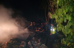 Kandang Terbakar, 5.000 Ayam Mati Rugi Rp 350 Juta di Sampung Ponorogo