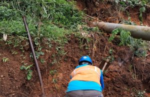 PLN Pastikan Pasokan Listrik Stabil di Trenggalek, Pacitan, dan Ponorogo Meski Diterpa Banjir