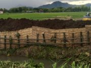 Pasca Banjir, Gotong Royong Warga Bringinan, BPBD, dan Pemdes Perbaiki Tanggul Jebol