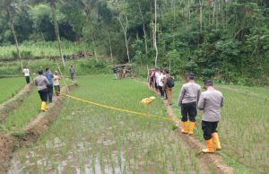 Petani di Sawoo Ponorogo Tewas Kesetrum Listrik Pengairan Sawah
