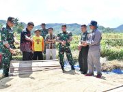 Jaga Stabilitas Harga, Bulog & TNI Ponorogo Cek Penyerapan Gabah Petani