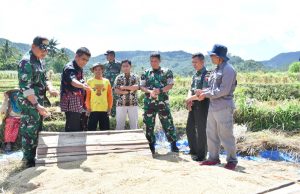 Jaga Stabilitas Harga, Bulog & TNI Ponorogo Cek Penyerapan Gabah Petani