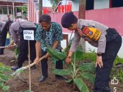 Barno: Gerakan Tanam Pisang Cavendish di Desa Bringinan, Solusi Bayar PBB, Ketahanan Pangan dan Gizi