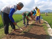 Prajurit TNI Ponorogo Perbaiki Jalan Usaha Tani