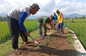Prajurit TNI Ponorogo Perbaiki Jalan Usaha Tani