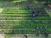Semua Koramil di Ponorogo Ditunjuk Siapkan Tanaman Sayur