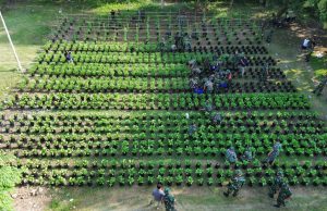 Semua Koramil di Ponorogo Ditunjuk Siapkan Tanaman Sayur