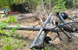 PLN Sigap Atasi Tiang Roboh di Trenggalek, Pasokan Listrik Pulih