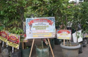 Budaya Baru, 433 Bibit Pohon Warnai Pelantikan Bupati Sugiri Sancoko